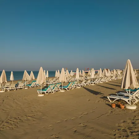 Sultan Of Dreams & Kızılot