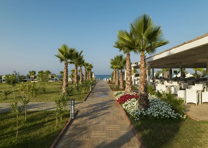 Complex Sultan Of Dreams &